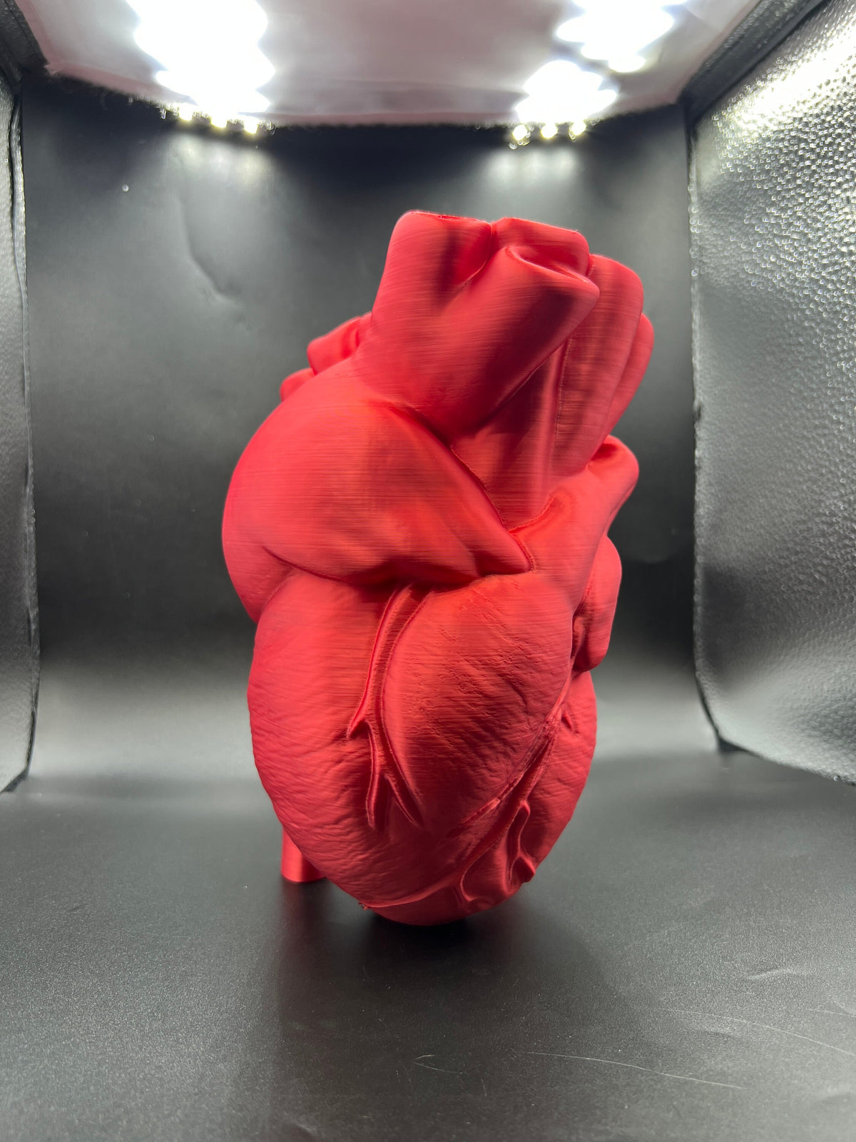 Anatomical Heart Vase
