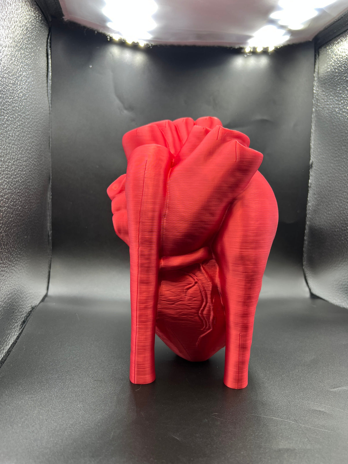 Anatomical Heart Vase