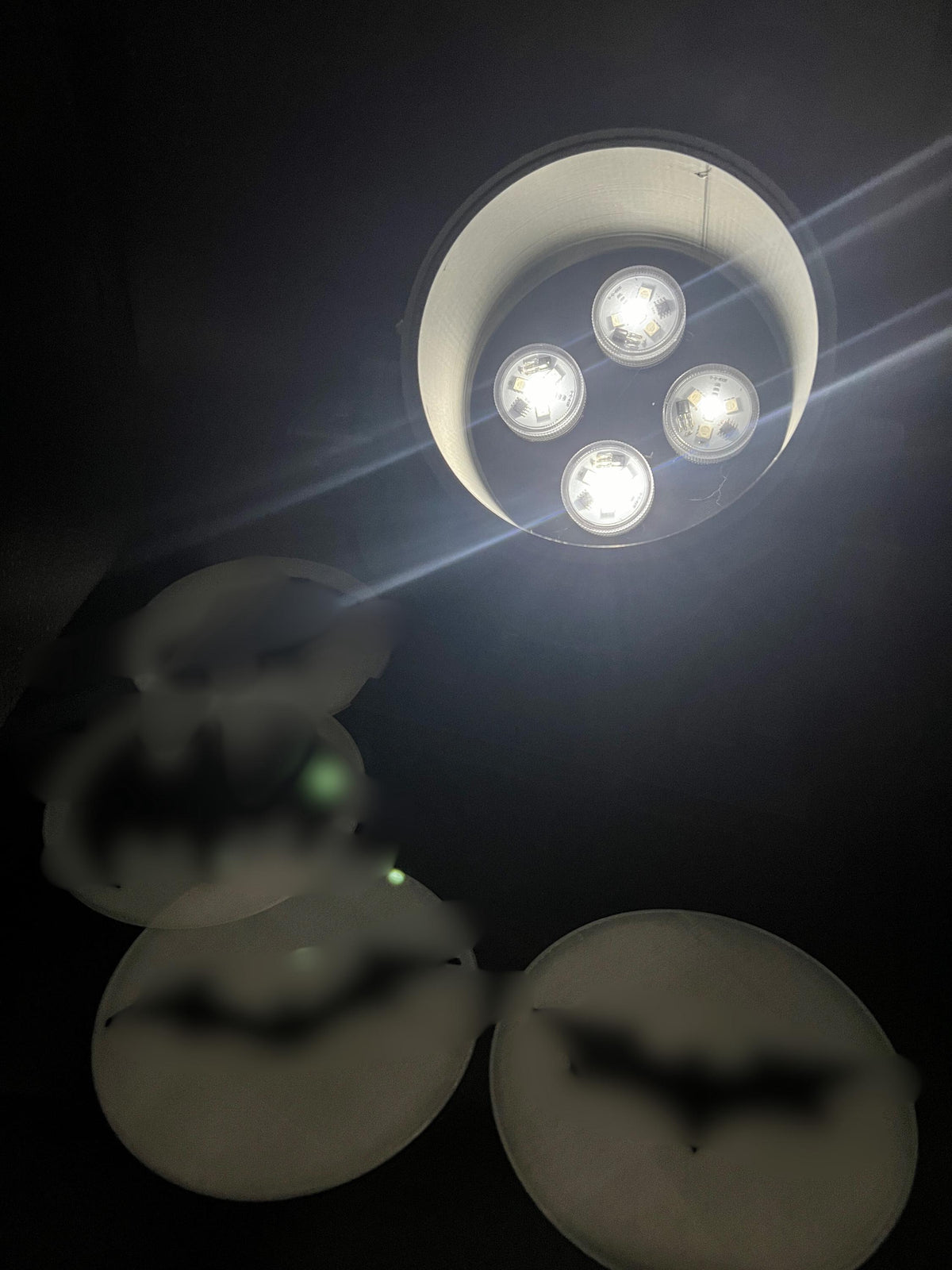 Signal Light